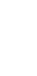Zanzibar silhouette